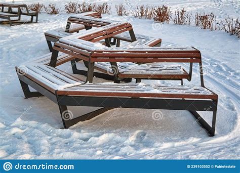 Wooden Benches In Winter Park Wooden Bench In The Park In The Snow In