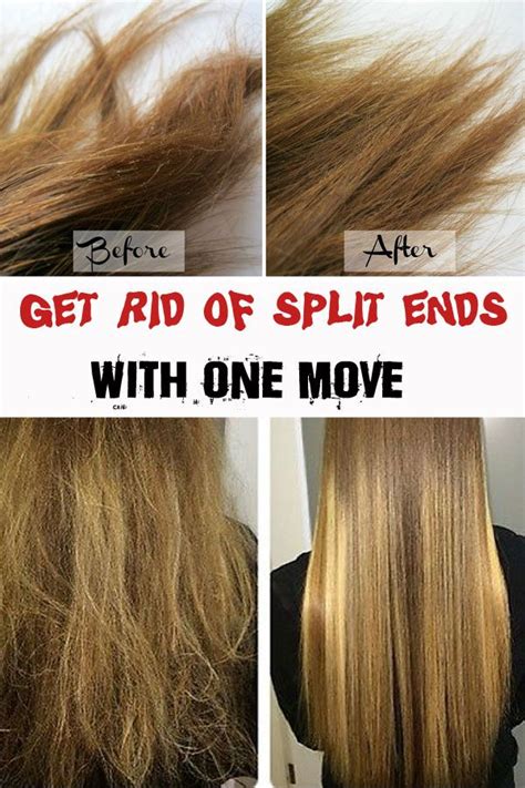 Incredible How To Cut Your Own Curly Hair Split Ends Png Buyingspydercoszaboflyy