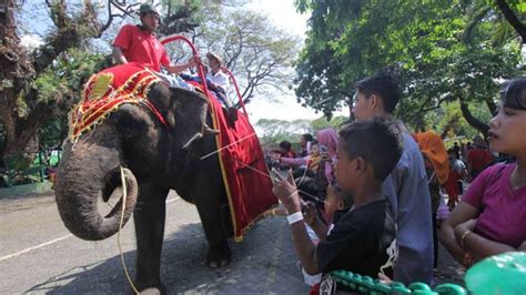 Bukan hanya berkenalan dengan aneka satwa langka yang. √ Wahana, Satwa, + Harga Tiket Masuk Kebun Binatang ...