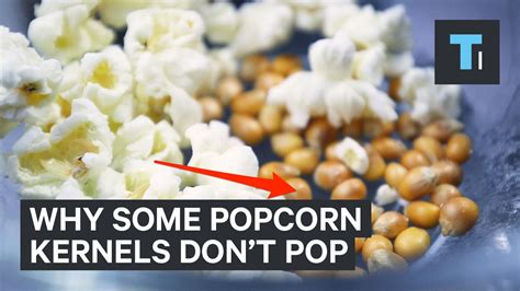 Why Some Of The Kernels In Your Popcorn Dont Pop Youtube