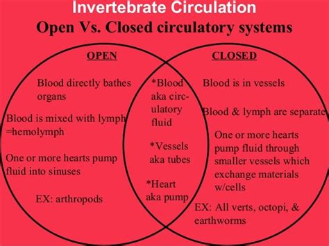 Open Vs Closed Circulatory System