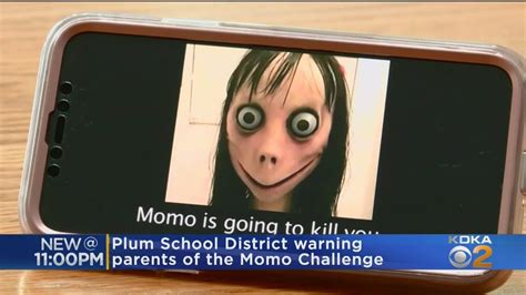 Local School District Warns Families Of Momo Challenge Youtube