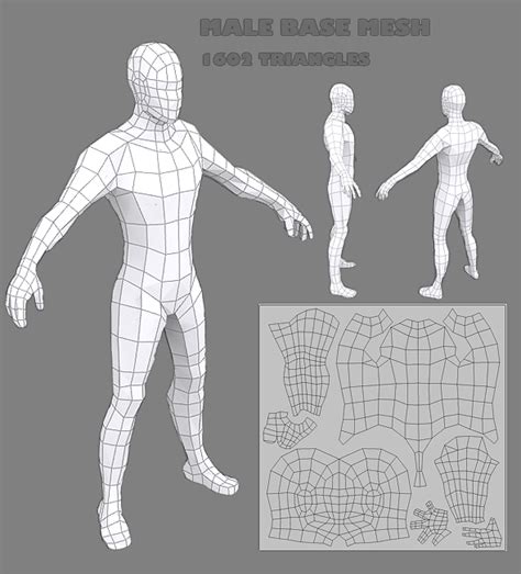 Female Character D Wireframe Front Back Side Reference Model My Xxx