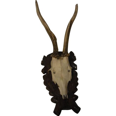 Vintage German Deer Antler Black Forest Wood Base From Eddys On Ruby Lane