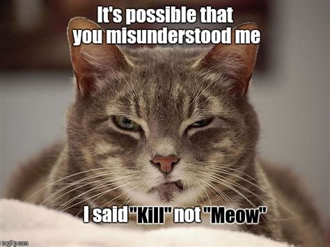 Sarcasm Cat Meow Imgflip