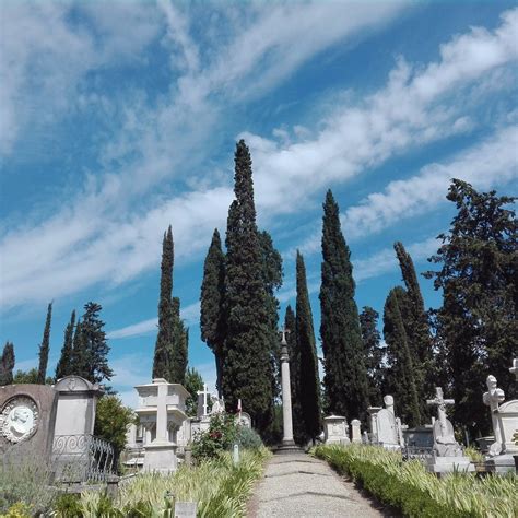 Cimitero Degli Inglesi Firenze Tripadvisor