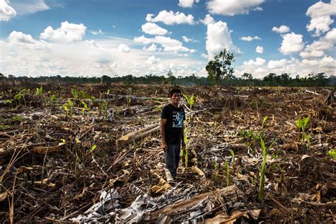 Documental Explica El Caso Tamshiyacu Y Otros Conflictos En La Amazonía