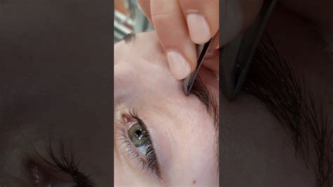 Satisfying Eyebrow Tweezing At Aesthetic Skin Care Class Youtube