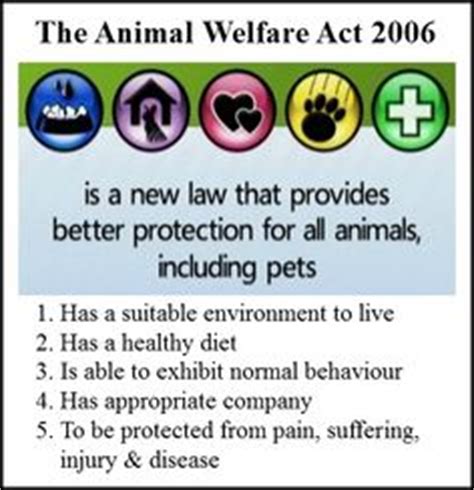 Malaysian animal welfare association, kajang, malaysia. 1000+ images about Legislation on Pinterest | Animal ...