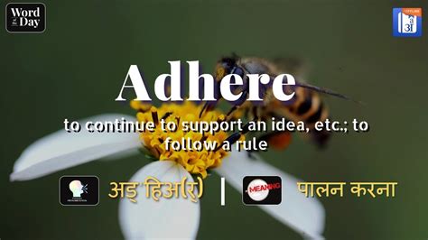 Adhere In Hindi Hinkhoj Dictionary Youtube