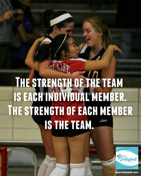 17 Volleyball Coach Quotes Inspired By My Volleycats Elite Players