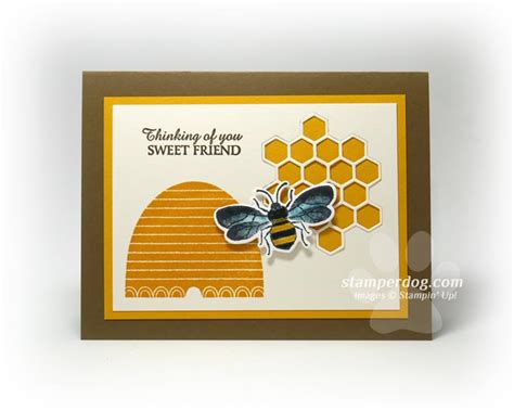 The latest tweets from bee playing cards (@beeplayingcards). Sweet Honey Bee Card for a Friend • Stampin' Up! Demo Ann M. Clemmer & Stamper Dog Card Ideas