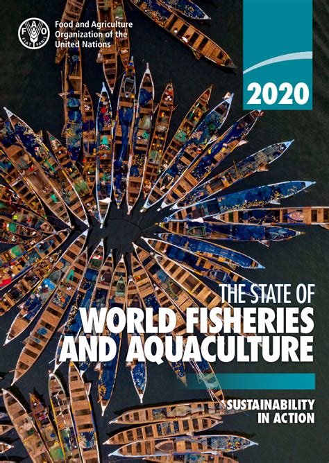 The State Of World Fisheries And Aquaculture 2020 FAO Report