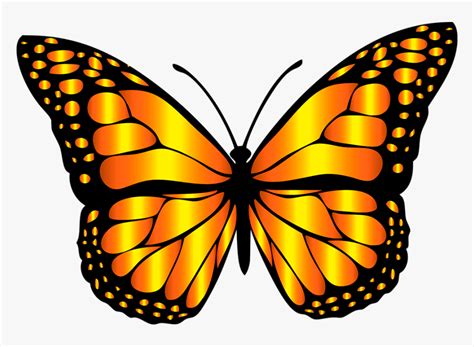 Orange Butterfly Clip Art Hd Png Download Kindpng