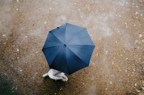 Laura And Ryans Rainy Wedding In Margaret River Aimee Claire Photography