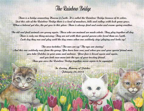 There is plenty of food, water and sunshine, and our friends are warm and comfortable. Pet Memorial Poem The Rainbow Bridge For Loss of Pet Cat ...