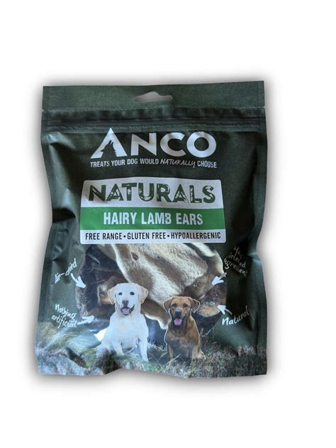 13092 Hairy Lamb Ears Anco Distributors Ltd Flickr