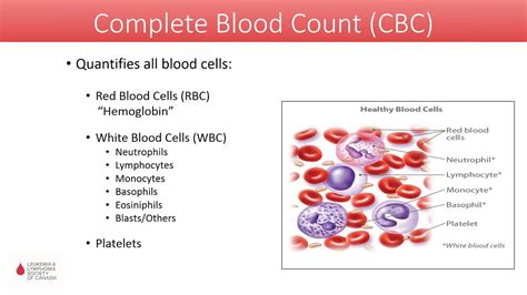 Complete Blood Count Canada