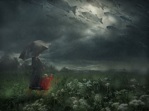 lost in the rain on behance