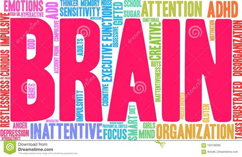 Brain Word Cloud Stock Vector Illustration Of Frustrated 103136093