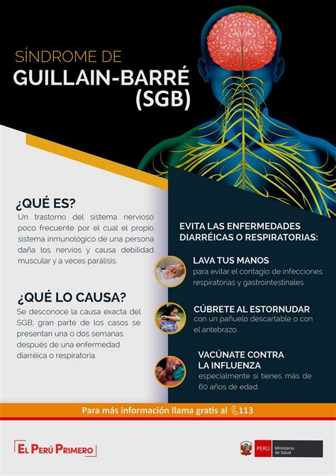 El síndrome de guillaín barré (sgb) es una polineuropatía desmielinizante . ACCIONES QUE NOS PROTEGEN DEL SÍNDROME DE GUILLAIN BARRÉ ...