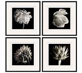 Black And White Art Framed Pictures