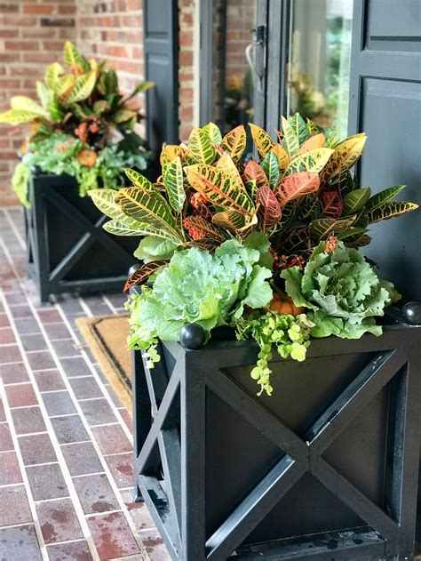 Fall Container Garden Ideas Our Favorite Plants — Adorn
