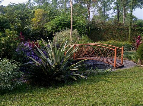 Chengmari tea garden. India | Tea garden, Garden, Plants