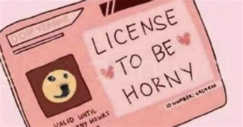 License To Be Horny Album On Imgur