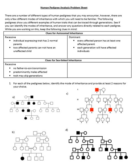 Solved Human Pedigree Analysis Problem Sheet There Are A Chegg