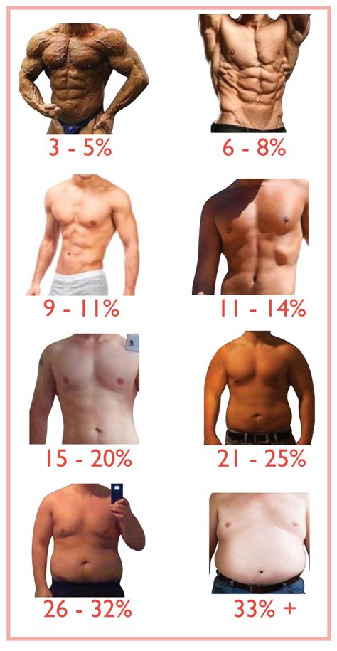 Of Body Fat Percentages Bmi And Body Composition Weknow