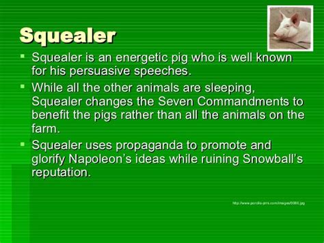 Squealer Squealer Is An Energetic Pig Who Is Well Known For His