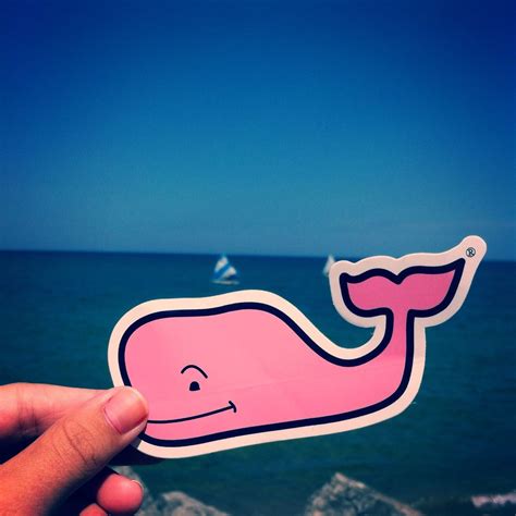 We listened…our new whale masks have arrived! vineyard vines | Vineyard vines whale, Vineyard vines, Vines