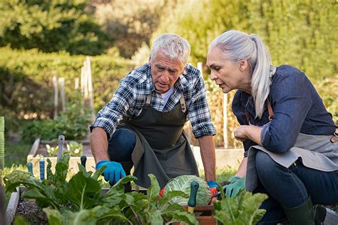 Lifelong Benefits Of Gardening For Seniors Discovery Village