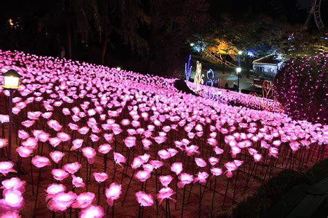 Koreas Biggest Light Festival Eworlds Starlight Festival