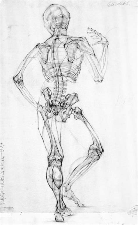 Pin De Victor Em Anatomia Dibujo Referencia Anatomia Anatomia Do Images