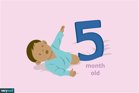 5 Month Old Baby Milestones And Development