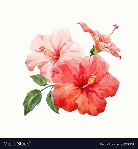 Beautiful Vector Watercolor Hand Drawn Tropical Hibiscus Flower