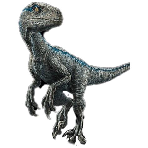 Blue Velociraptor Raptor Jurrasicworld