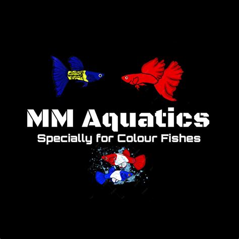 Mm Aquatics