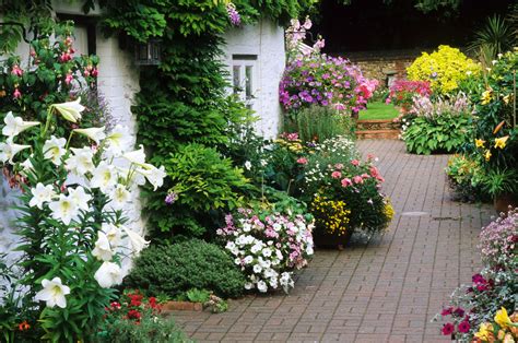 Flower Design Garden Garden And Flower Design