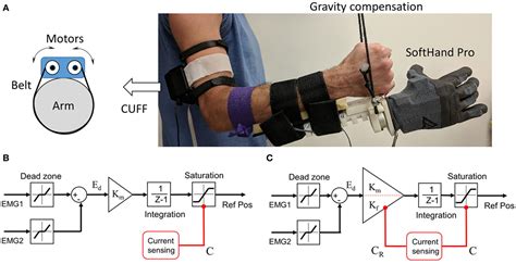 Frontiers Improving Fine Control Of Grasping Force During HandObject Interactions For A Soft