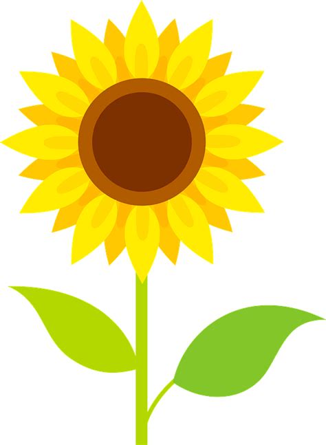 Clipart Sunflower Png