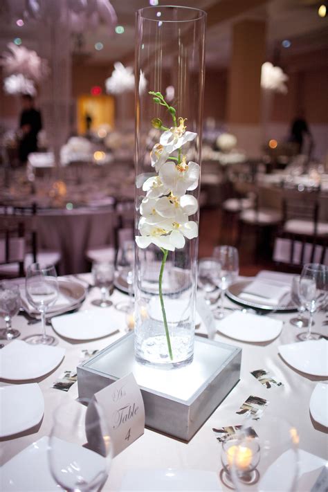 Orchid Centerpiece In Glass Cylinder Simple And Beautiful I Ve Made Lightboxes For Cheap I