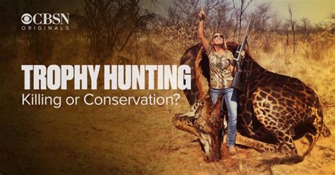 Preview Trophy Hunting Killing Or Conservation Cbs News