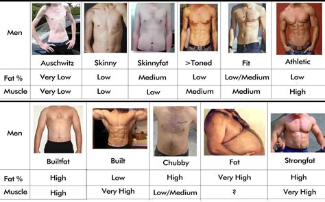Men Body Types Chart