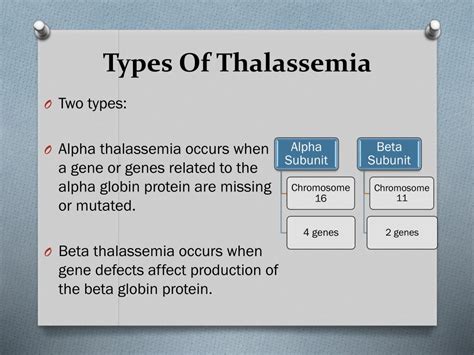 Ppt Thalassemia Powerpoint Presentation Free Download Id2109380