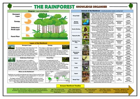Rainforests Ks2 Knowledge Organiser By Tandlguru Teaching Resources