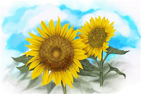 Watercolor Autumn Sunflowers Vector By Mete Humay Thehungryjpeg