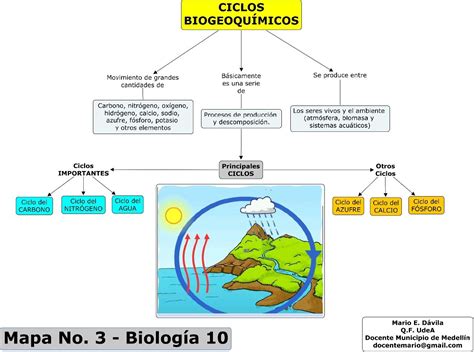 Mapa Conceptual De Ciclos Biogeoquimicos Amalmeru